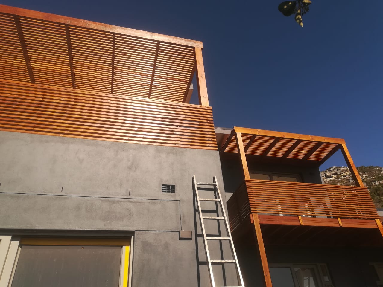 WhatsApp Image 2024-03-12 at 23.19.52_0e8fc5eb